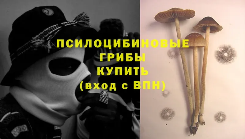 наркота  Алупка  нарко площадка официальный сайт  Галлюциногенные грибы Magic Shrooms 